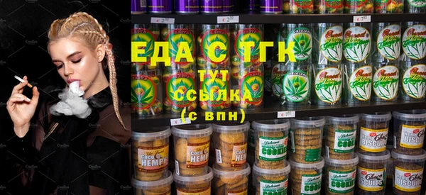 крисы Мегион