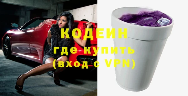 крисы Мегион