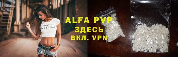 ГАЛЛЮЦИНОГЕННЫЕ ГРИБЫ Магас