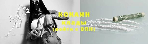 сатива Сатка