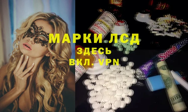 ГАЛЛЮЦИНОГЕННЫЕ ГРИБЫ Магас