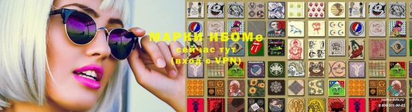 крисы Мегион