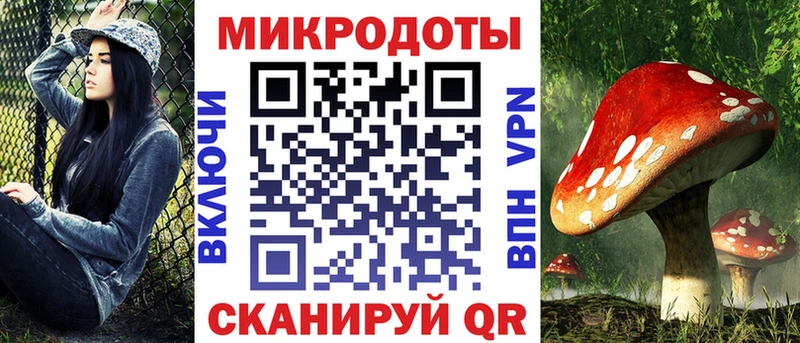 Галлюциногенные грибы Psilocybe  наркотики  Опочка 